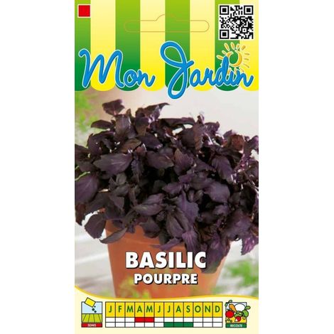 Basilic pourpre - 1g