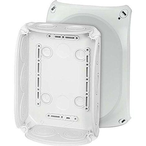 Hensel 62000008 Caja de derivación gris-blanco IP66