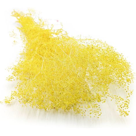 Stabilisiertes Gypsophila Mini – (Gypsophila) – Gelb (1/5)