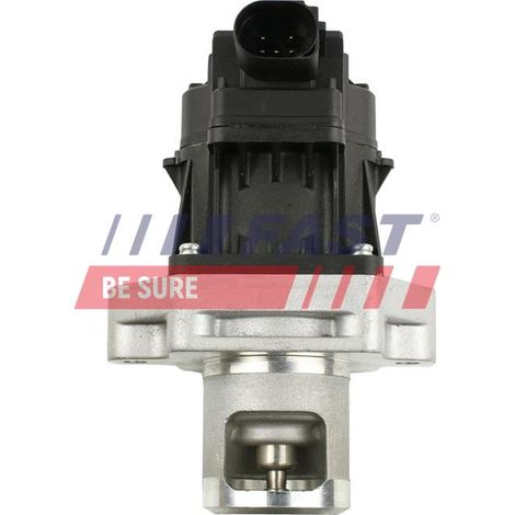 FT60234 schnelles AGR-Ventil