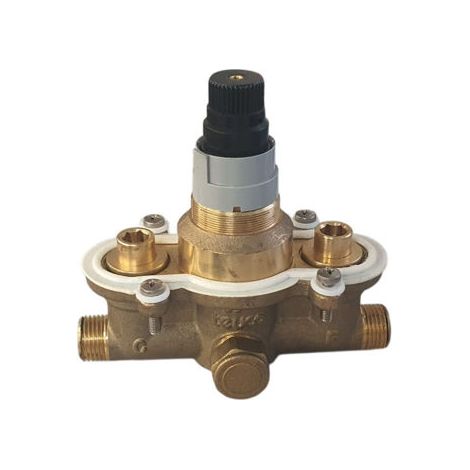 Ricambio corpo termostatico Teuco 811000565