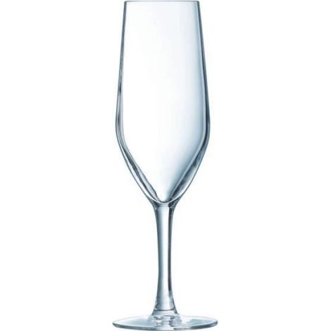Evidence - 6 flûtes 16 cl (1/3)