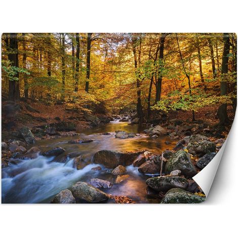 Fototapete, Gebirgsbach im Wald - 100x70 (1/5)