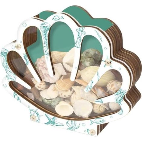Présentoir décoratif transparent pour coquillages de collection, support portable de rangement et d'exposition pour coquillages à collectionner (1/5)