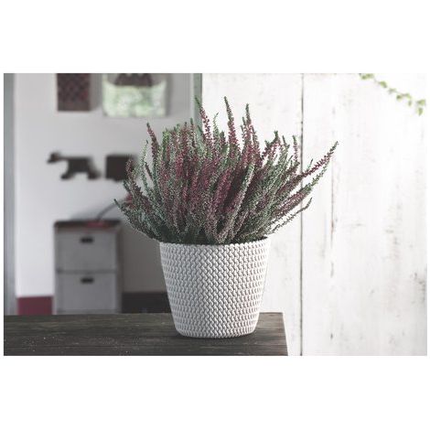 Splofy DSP130 Vaso da fiori bianco Prosperplast