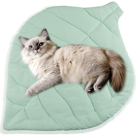 Tapis rafraîchissant pour chat en forme de feuille, respirant, durable et facile à nettoyer. Convient aux chats et aux petits chiens, à utiliser au sol ou dans une niche. (1/5)