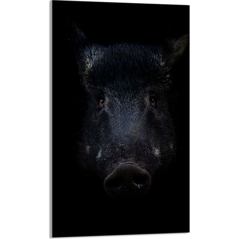 Schneidebrett aus Glas 30x52 Boar (1/5)