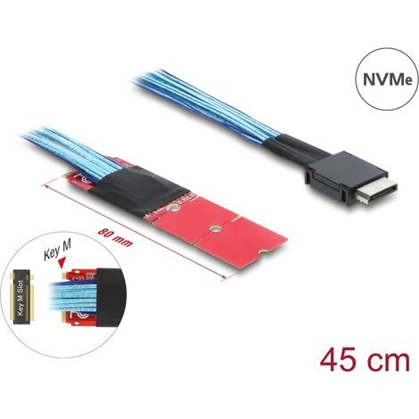 Delock M.2 Key M zu 1 x OCuLink SFF-8611 Konverter mit 45 cm Kabel