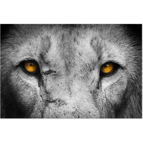 Affiche Yeux de loup - 60x40cm - made in France (1/5)