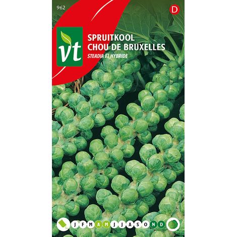 Chou De Bruxelles Steadia F1 Hybride - Ca. 0,3 gr (Livraison (1/2)