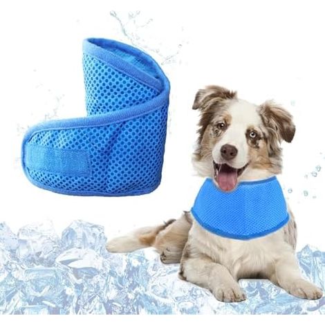 Foulard Refroidissant Chien, Collier, Bandana, Ete, Animal, Compagnie, Frais, Absorbe Chaleur (1/5)