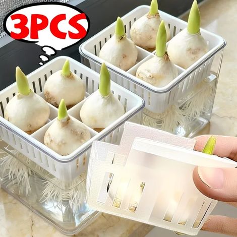(2 pièces) Pots à fleurs à quatre compartiments pour tulipes hydroponiques, en acrylique respirant, pour la culture hydroponique en intérieur. (1/4)