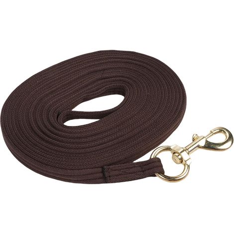 Corde de Plomb pour Cheval, Ligne de Fente en Tissu tissé avec Mousqueton Rotatif pour l'entraînement et Le Toilettage équestres (Brown) (1/5)