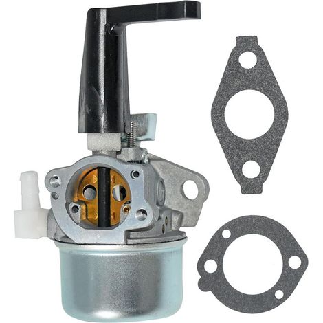 Carburateur 696065 697422 110402 110412 215369 Moteur 5,5 CV Moteur 6,5 CV (1/5)