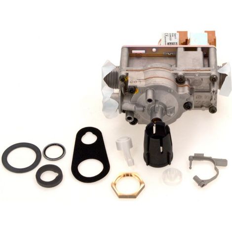BOSCH Valvola gas, 8738717458