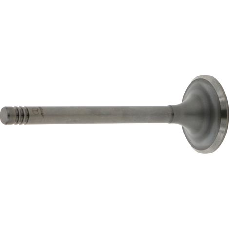 Válvula de admisión 41x9 117mm para RENAULT FENDT 7701006369 (1/3)
