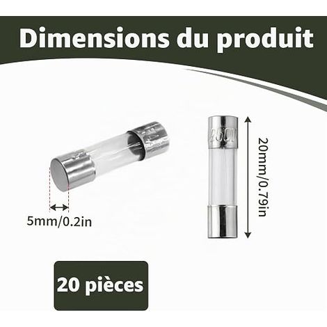 F10AL250V 5x20mm 10A 250V Fuses, Glass Tube Fuses for Electrical Circuit Protection, Standard for Electrical Appliances, 0.2 x 0.78 Inch (1/4)