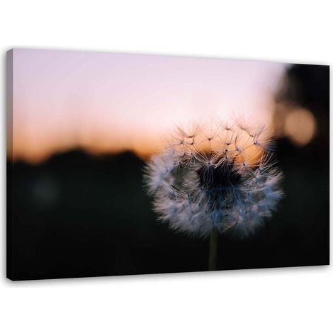 Quadro su tela, Denti di leone al tramonto - 100x70 (1/5)