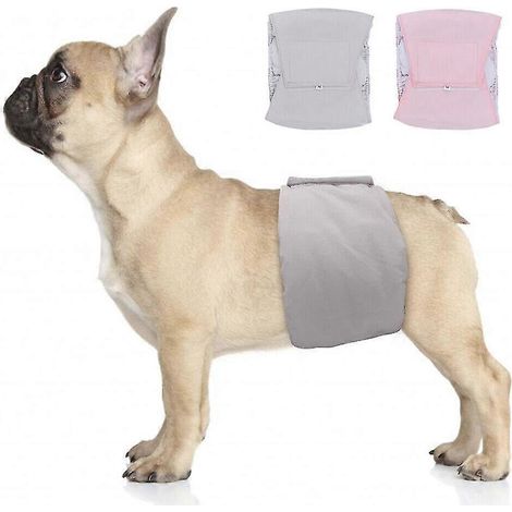 Bande abdominale pour chien mâle pour incontinence, culotte hygiénique réutilisable et lavable en coton pour animaux de compagnie (MGray)