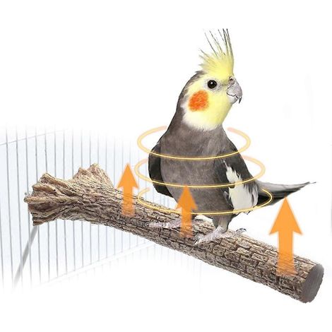 Beheizte Sitzstange für Vogelkäfige – Wärmer für Graupapageien, Wellensittiche, Nymphensittiche, exotische Papageien (USA) (1/5)