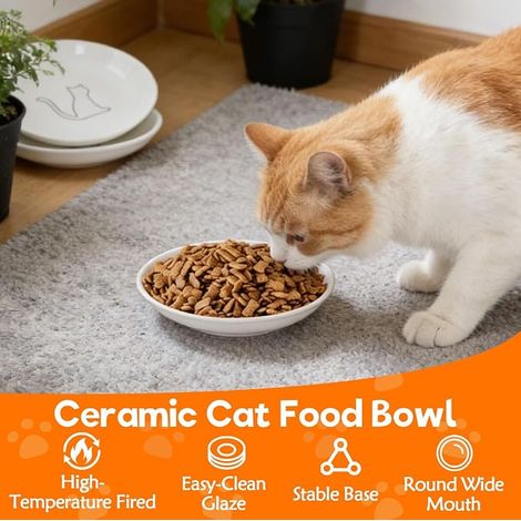 Gamelle Chat Ceramique Base Silicone Antidérapante Gamelles Plate Chats Chien Anti-Fatigue Moustaches Bol Chatons Gamelle Plates Chiots Plate Chiot Conserver Nourriture Eau