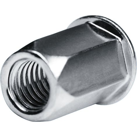 GOEBEL - 250 x Écrou à sertir M 6 - Acier  [ AISI 1008 ] Zingué - Tête plate Arbre hexagonal  - Extrémité de l'arbre  ouverte - GO-NUT - 7550600100 (1/5)