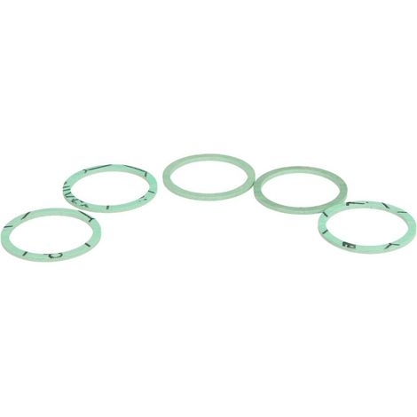 BOSCH Guarnizione piatta 1 (5x), 7100198