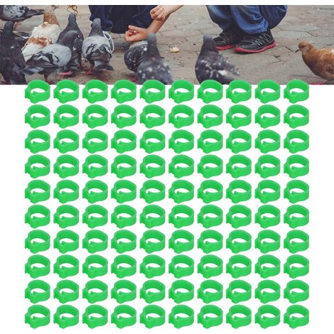 Anillos de plástico verde de 8 mm para marcar palomas – paquete de 100 unidades para marcar pichones – duraderos (1/5)