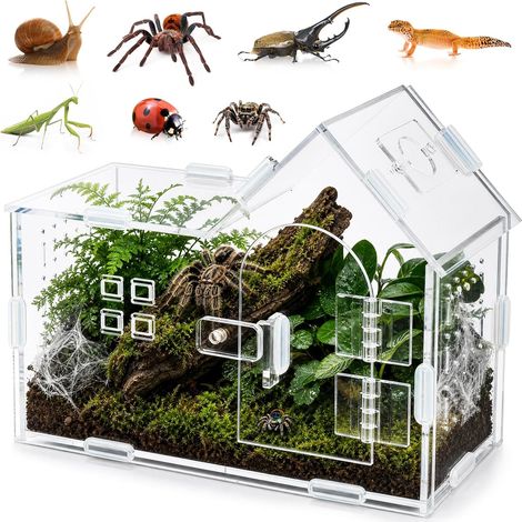 Enclos à araignées en acrylique, terrarium transparent (1/5)
