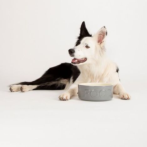 Scruffs Classic Food Bowl 19cm - PK 6 - 267785 (1/3)