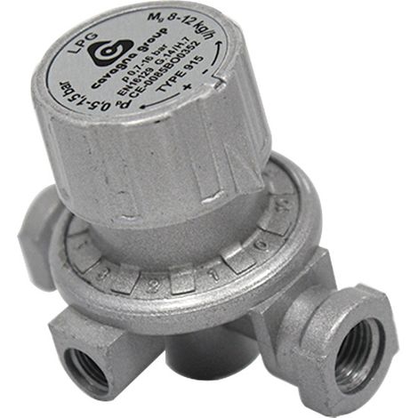 Détendeur haute pression réglable Propane 8-12 kg/h - E/S Femelle G 1/4 - Favex (1/4)