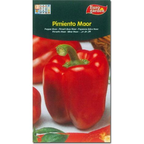 SEMILLAS FITO HORTICOLAS PIMIENTO MAOR=00258