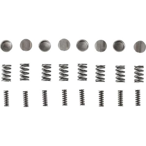 Kupplungsreparatursatz (Standardfedern) AG106