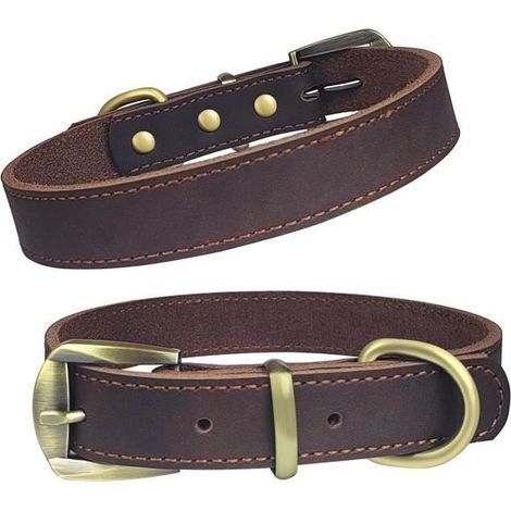 (m)Qianruida Hundehalsband aus echtem Leder, verstellbar – M (1/5)