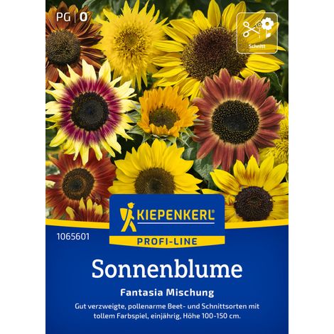 Kiepenkerl Profi-Line Blumensamen Sonnenblumen Fantasia Mischung F1 für ca. 20 Pflanzen