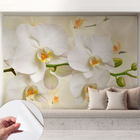 Fototapete Selbstklebend - Wandtattoo - leicht anzubringen - Wandverkleidung Blumenpracht 208x146 cm (1/5)