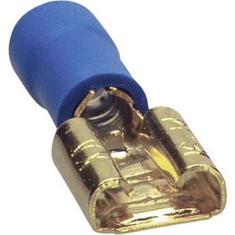 Fiche plate 6,3-2,5 mm Sinuslive FS 6,3-2,5 FLACHSTECKER, 10 STÜCK Y47849 (1/3)