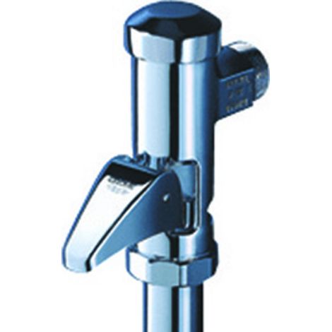 GROHE Fluxómetro automático DAL 37141 DN 20 para inodoro visto de latón cromo, 37141000