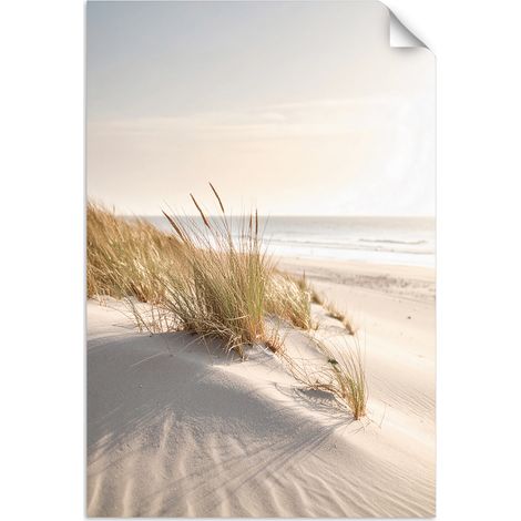 Poster autocollant Plage mer dunes nature plantes 80x120 (1/3)