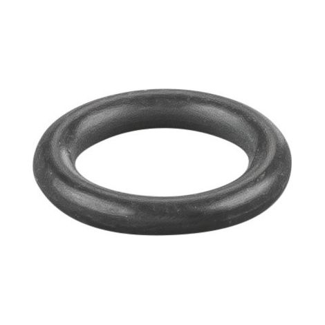 Rems O-Ring 060281