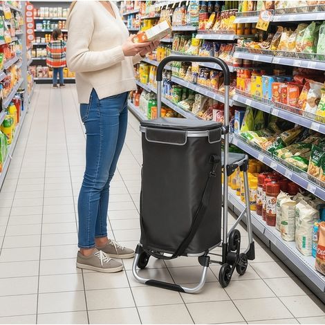 Carrito de la compra plegable de 3 ruedas, bolsa Oxford 40 L, con asiento, gris oscuro HAVRYA (1/4)