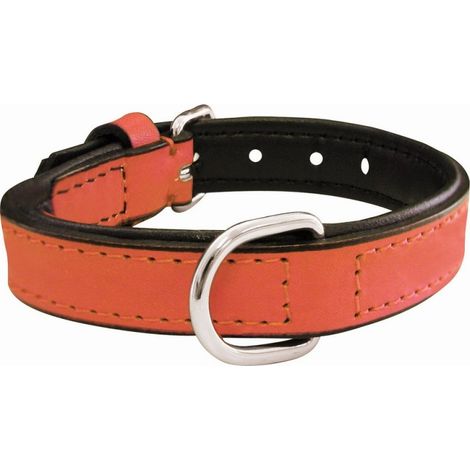 Collier pour Chien Gloria Rembourré Corail (35 x 1,5 cm) (1/5)