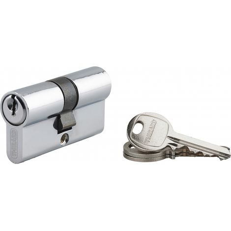 Cylindre de serrure crantée Ecopro nickelé 30x30 mm – Double entrée – Protection anti-arrachement – Clé crantée – Niveau de sécurité 2 – SP