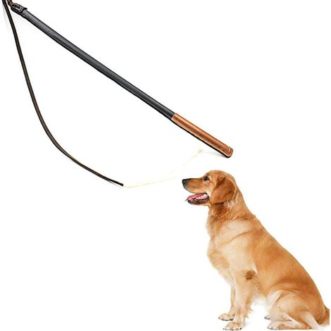 Set aus 2 Hundetrainingspeitschen aus Kunstleder mit integrierter Pfeife für das Hundetraining, Haustiertrainingsgerät (1/5)