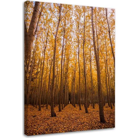 Tableau sur toile Forêt de bouleaux Feuilles Jaune 70x100 (1/5)