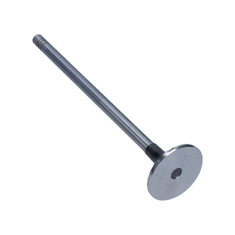 Soupape d'émission Freccia R6238/BM NISSAN 13202-00QAD 4506084 7701472670 (1/2)