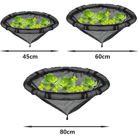 Barrière Flottante pour Plantes Et Poissons, Jardinière Flottante pour Îlot, Jardinière Flottante pour Bassin, Protégez Vos Plantes Flottantes des Poissons(45cm) (1/3)