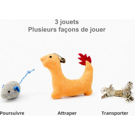 Lot de 3 jouets pour chat interactifs avec herbe à chat et bâton de matatabi (1/5)