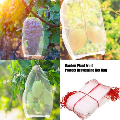 Sacs de Protection pour Fruits, 50PCS Sac de Protection en Nylon pour Plantes, Fleurs et Fruits, avec Cordon de serrage, Sac de Protection en Maille Réutilisable (5.9x9.8) (1/4)