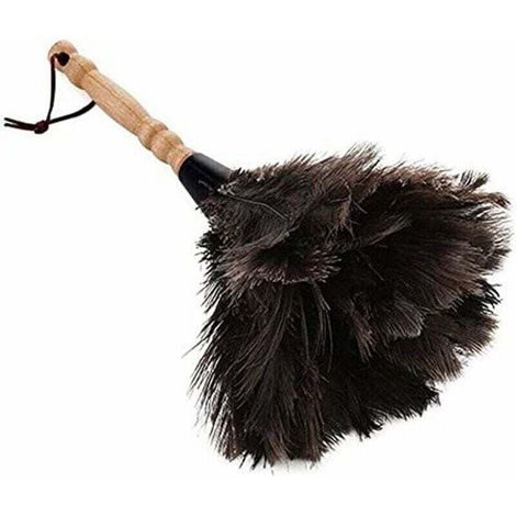Plumeaux pour la maison et le bureau, plumes d'autruche, plumeaux d'autruche, plumes d'autruche naturelles, (1/5)